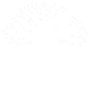 Ngo Logo